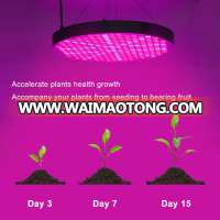 full bands 50W LED Plant Grow Lights Bulbs for Promote plant growth